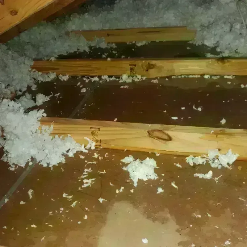 Attic Water Damage in Crosbyton, TX